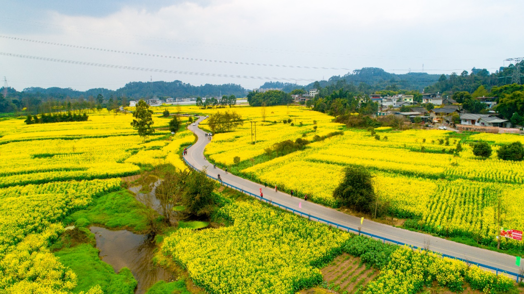 峨眉河风景道
