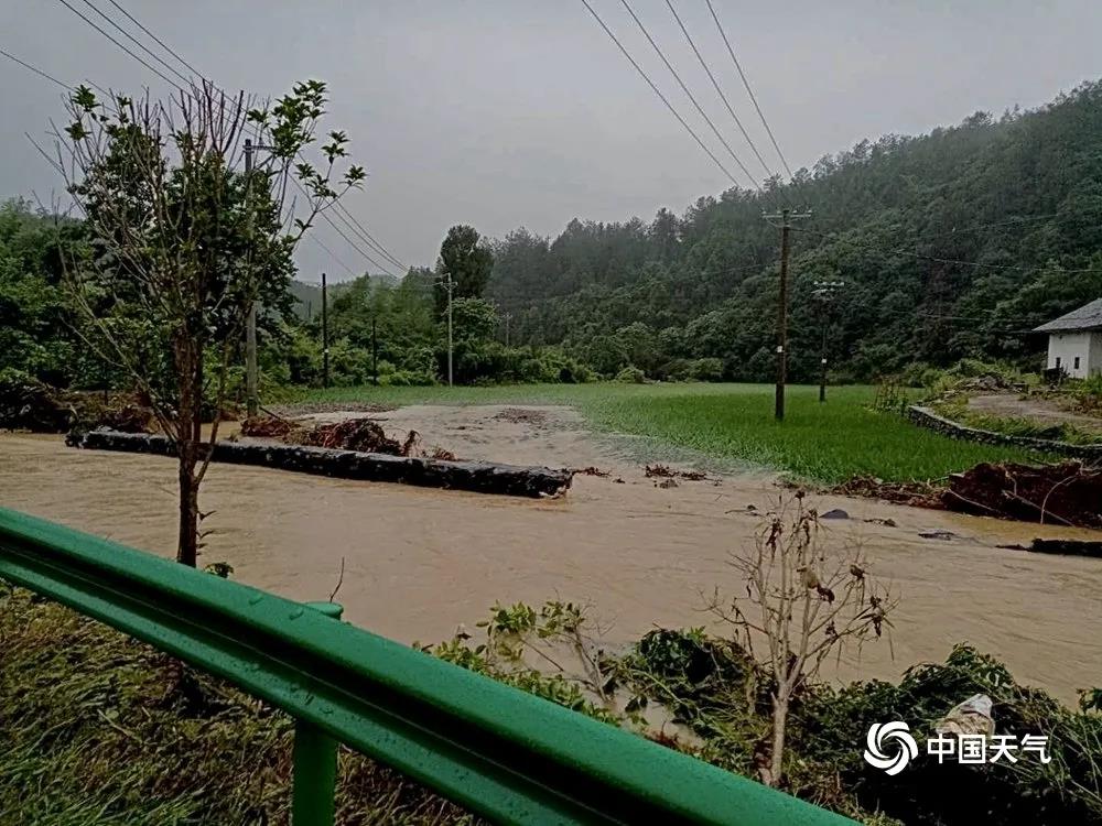 江西北部部分地区农田被淹