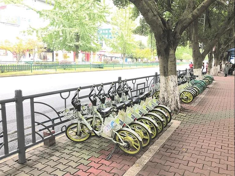 电单车摆放有序