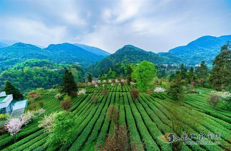 线路四:夹江县马村乡→大千纸故里→夹江年画基地→五通桥根石人家